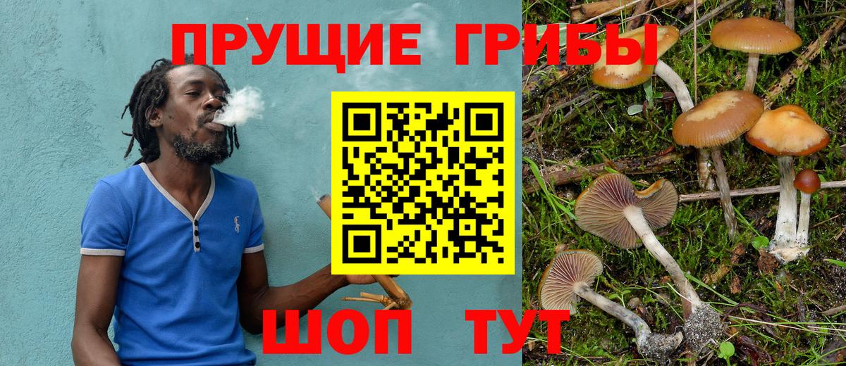 Псилоцибиновые грибы GOLDEN TEACHER Бузулук