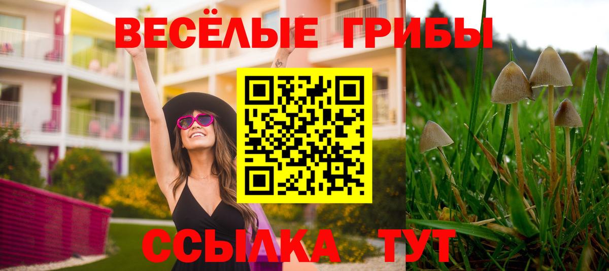где купить наркотик  Вход с VPN  Бузулук  Галлюциногенные грибы Cubensis 